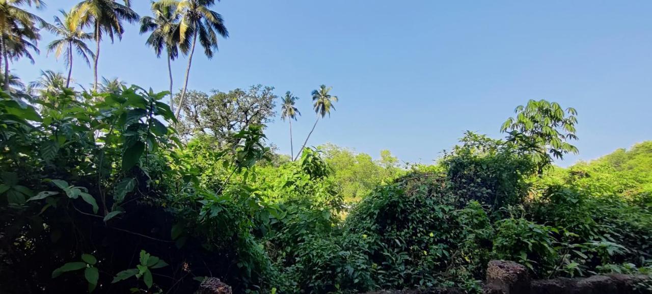 J-House, Spacious Apartments With Balconies, Thalassa 1Min Away Siolim Luaran gambar